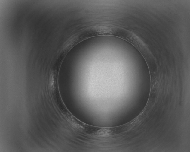 X0000084010124200702232215