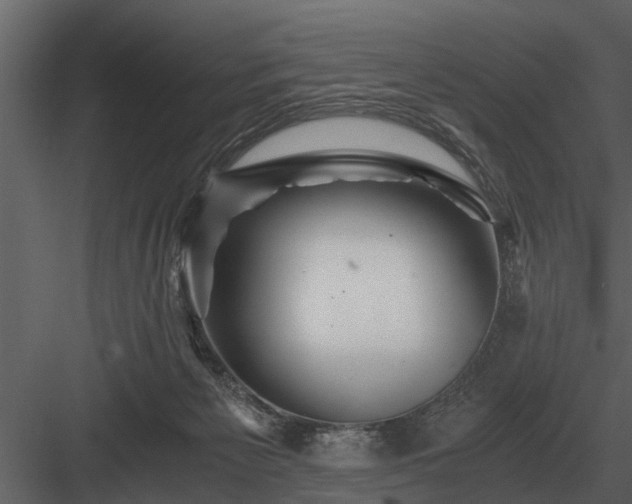 X0000084010125200702232215