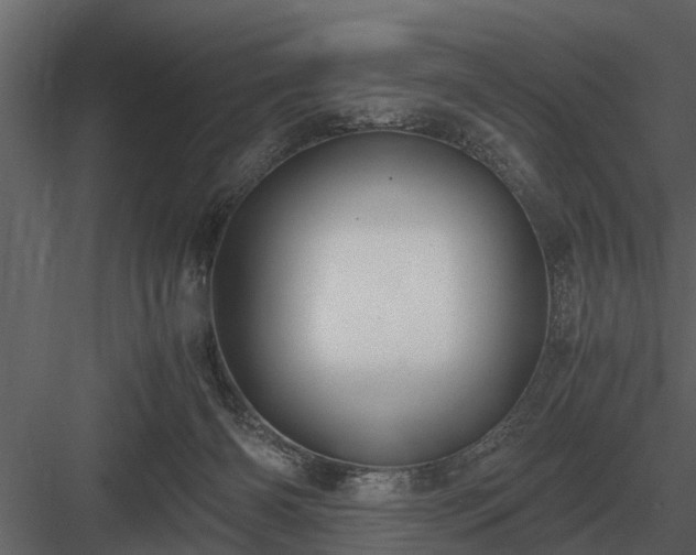 X0000084010126200702232215