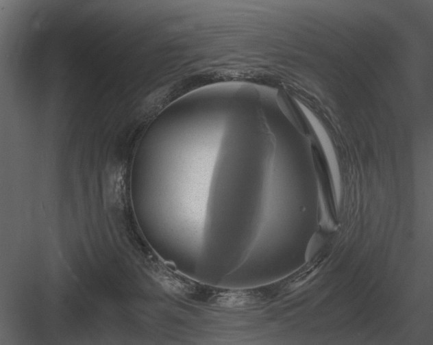 X0000084010127200702232215