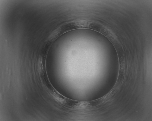 X0000084010128200702232214