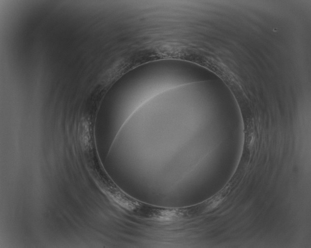 X0000084010130200702232214