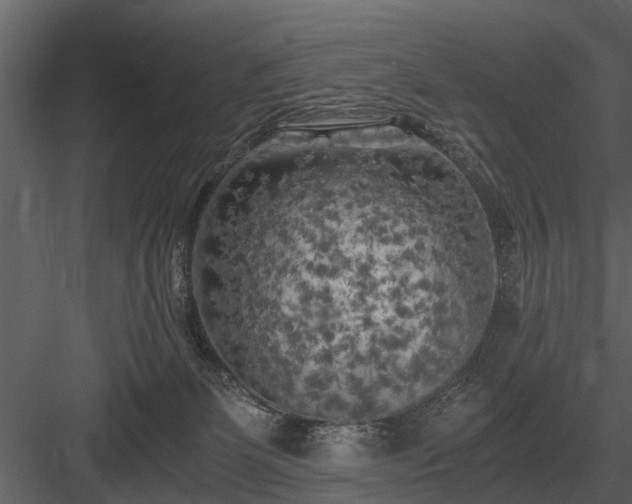 X0000084010131200702232214