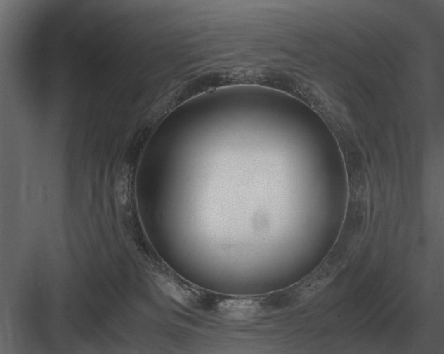 X0000084010133200702232214