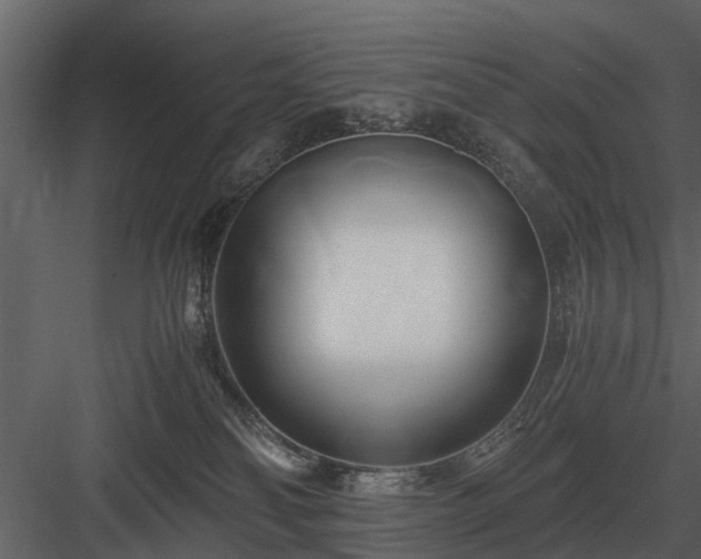 X0000084010134200702232214