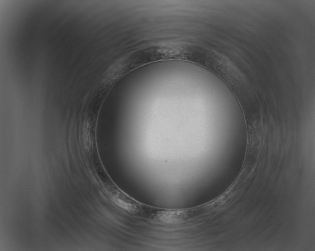 X0000084010136200702232214