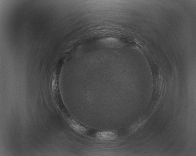 X0000084010137200702232214