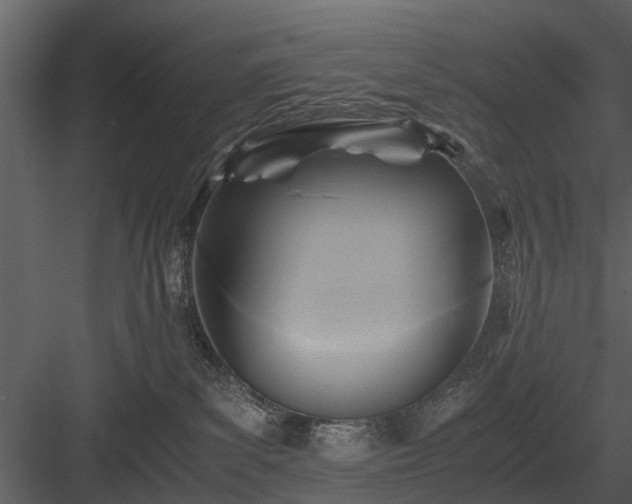 X0000084010139200702232214