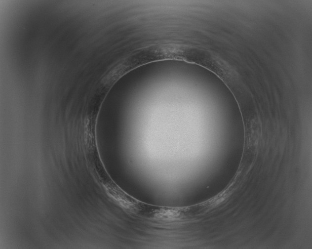 X0000084010140200702232214