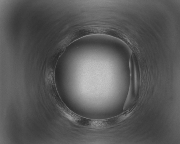 X0000084010141200702232214