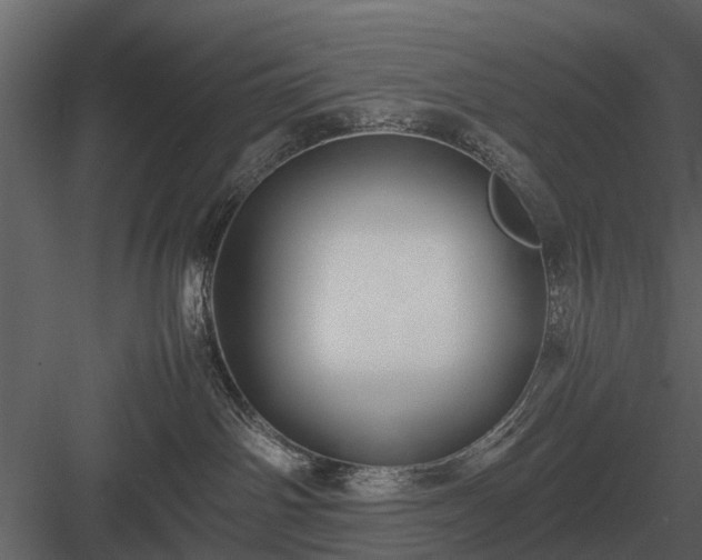 X0000084010142200702232214