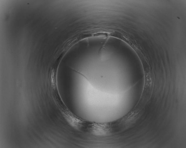 X0000084010143200702232214