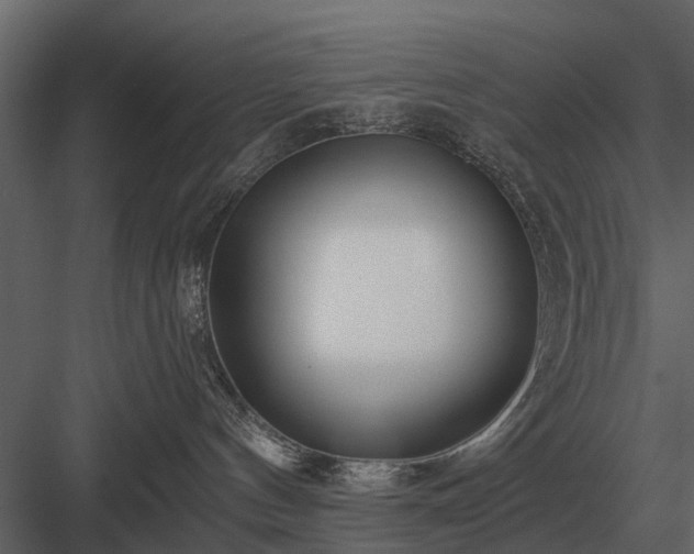 X0000084010144200702232214