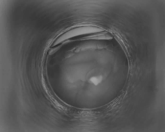 X0000084010145200702232213