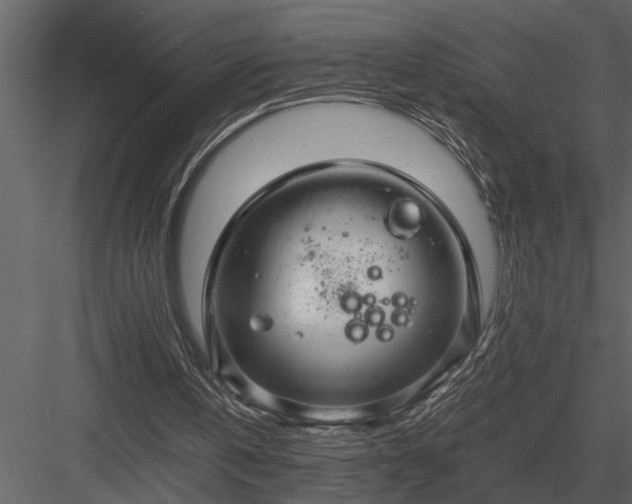 X0000084010146200702232213