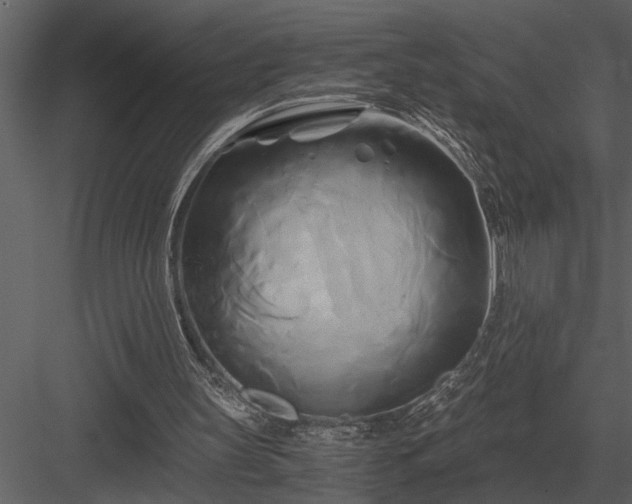 X0000084010147200702232213