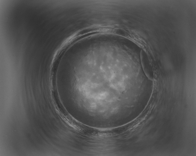 X0000084010149200702232213