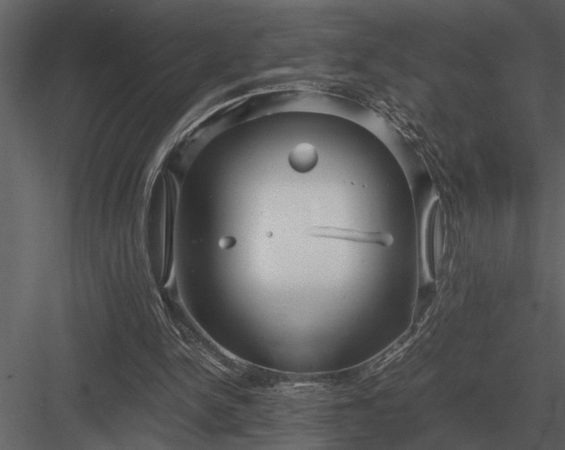 X0000084010150200702232213