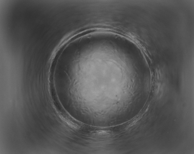 X0000084010151200702232213