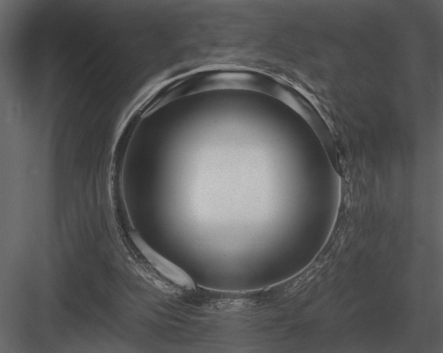 X0000084010152200702232214