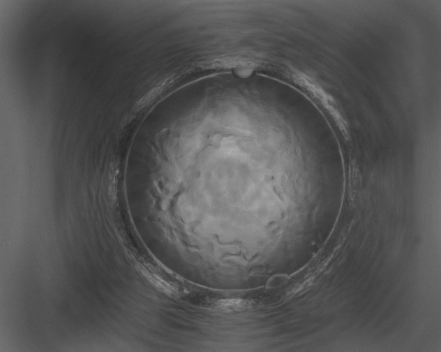 X0000084010153200702232214