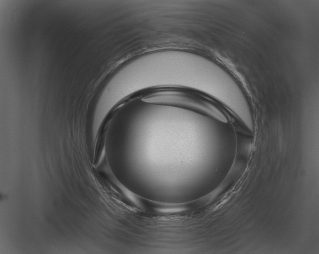 X0000084010154200702232214