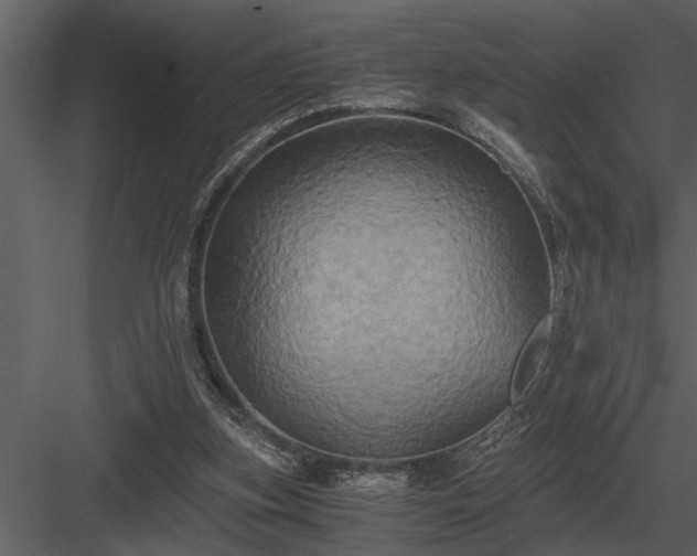 X0000084010155200702232214