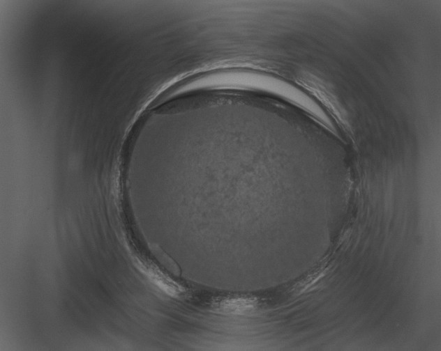 X0000084010156200702232214