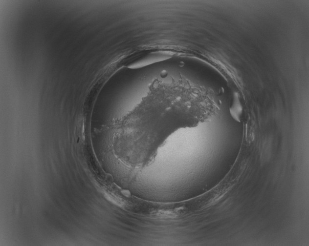 X0000084010157200702232214