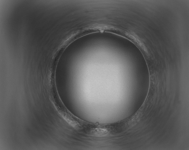 X0000084010159200702232214