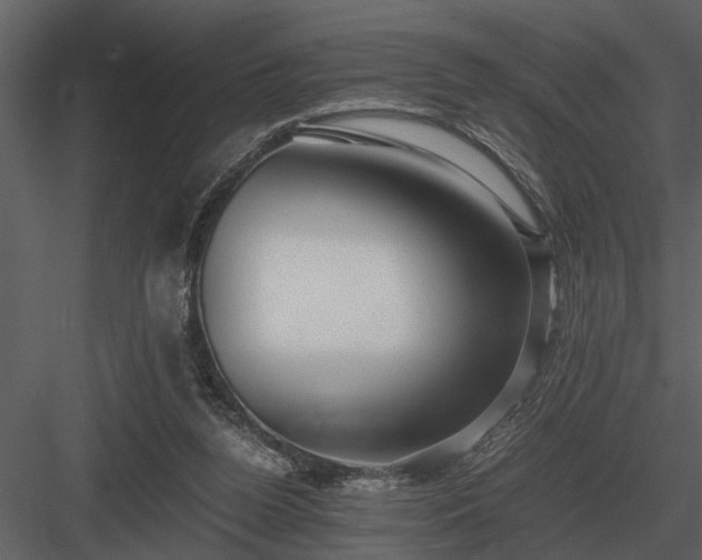 X0000084010160200702232214