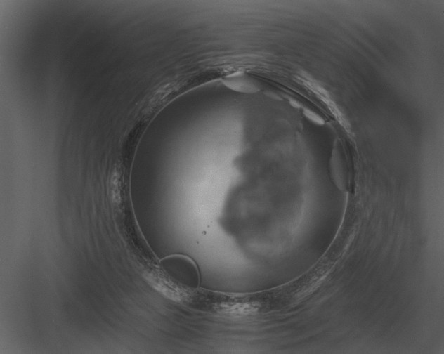 X0000084010161200702232214