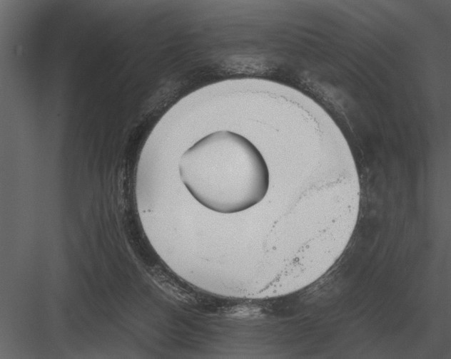 X0000084010162200702232214