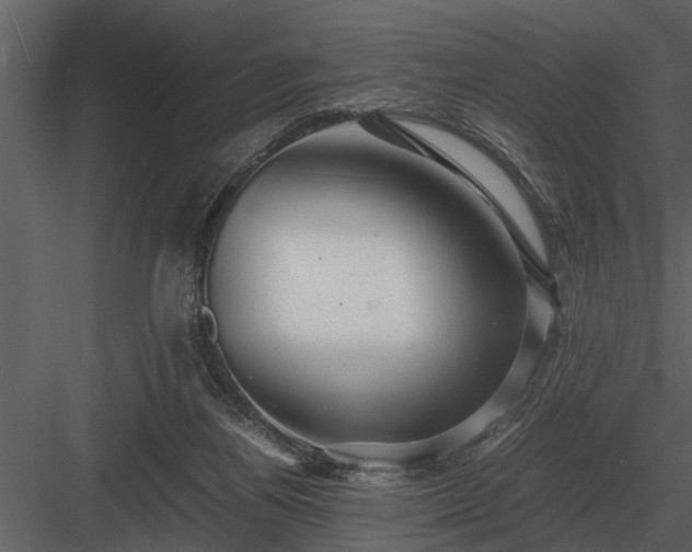 X0000084010164200702232214