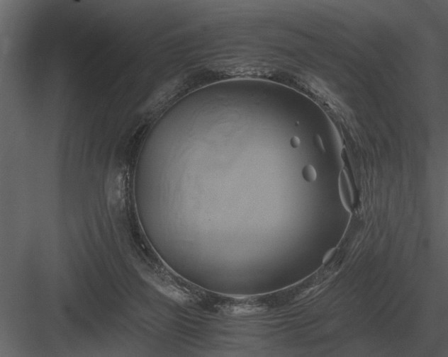 X0000084010165200702232214