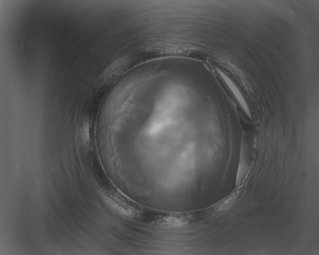 X0000084010166200702232214