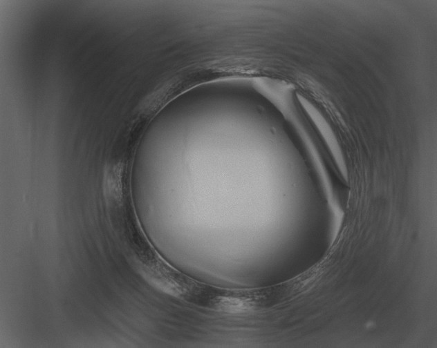 X0000084010167200702232214