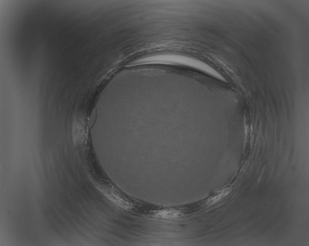 X0000084010168200702232214