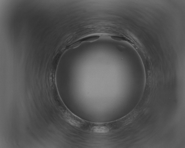 X0000084010169200702232214