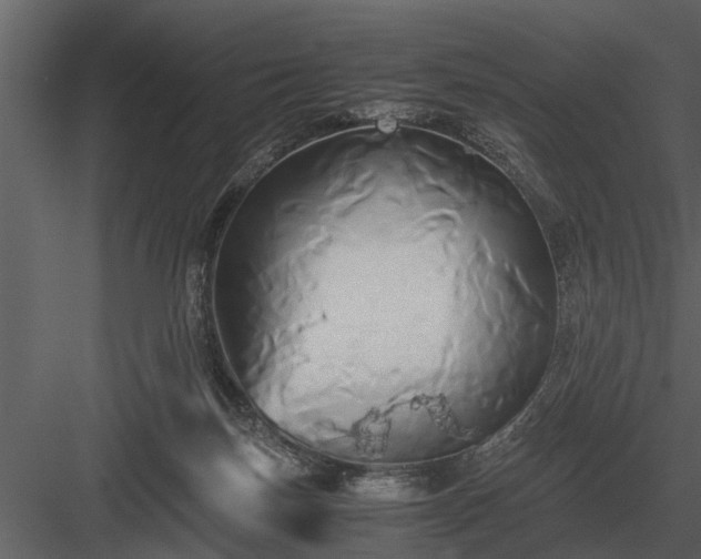 X0000084010171200702232214