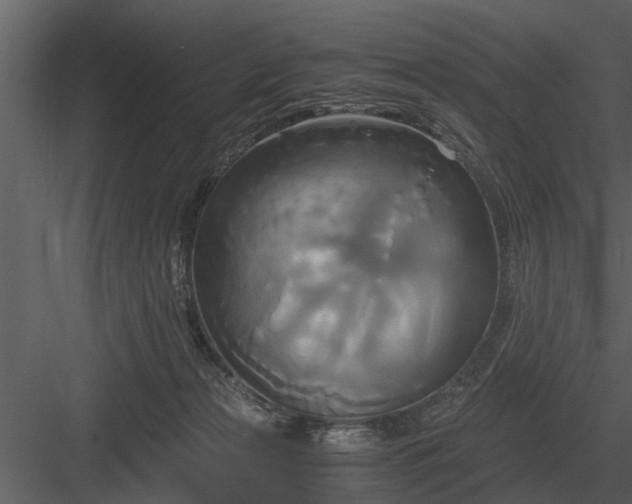 X0000084010173200702232214