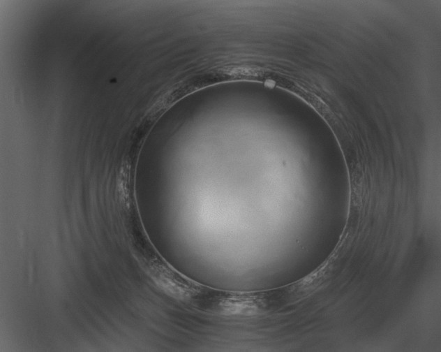 X0000084010175200702232214