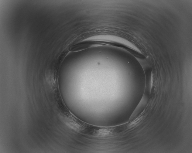 X0000084010176200702232214