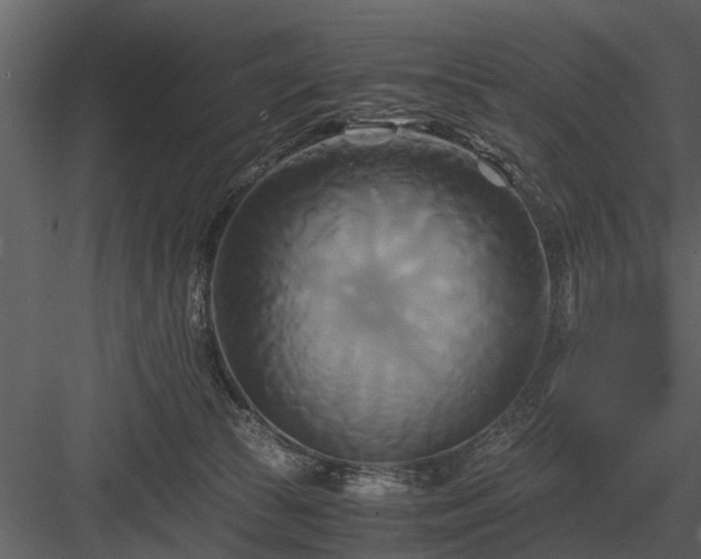 X0000084010177200702232214