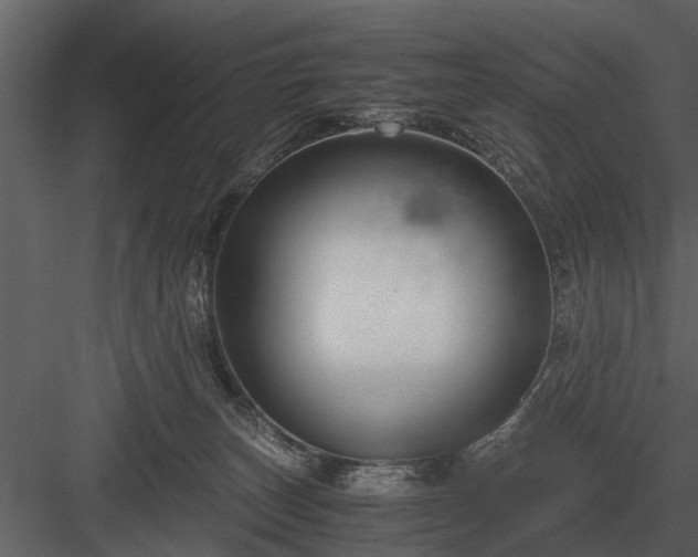 X0000084010179200702232214