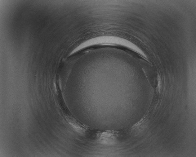 X0000084010180200702232214