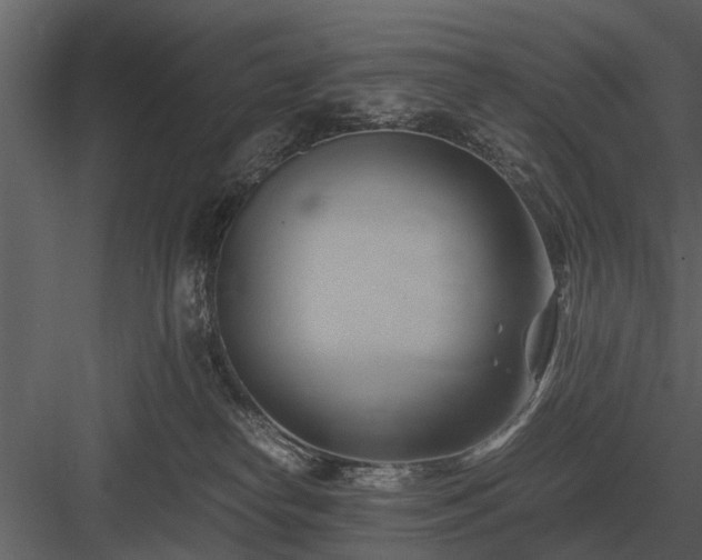 X0000084010182200702232214