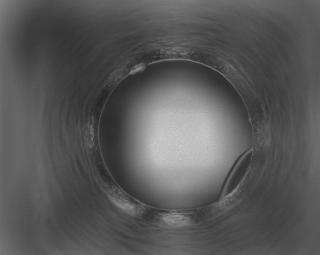 X0000084010183200702232214