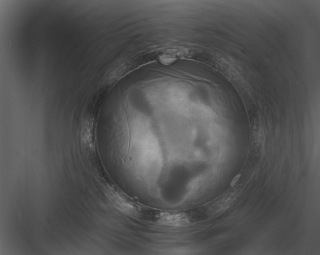 X0000084010185200702232214