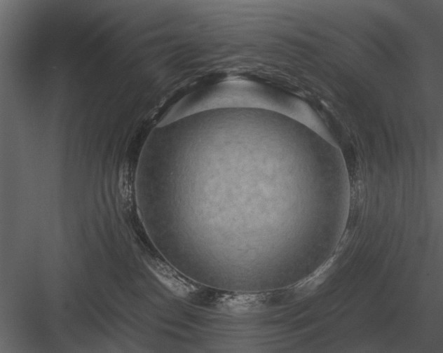 X0000084010186200702232214